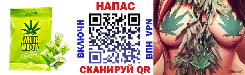 где купить наркоту  blacksprut tor  Canna-Cookies конопля  Магас 