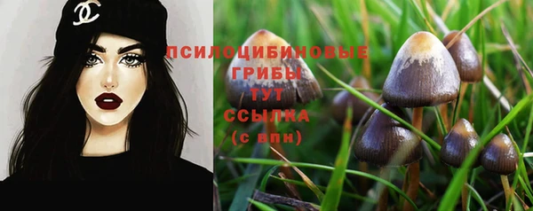 прущий лед Белоозёрский