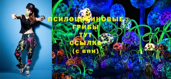 spice Богородск