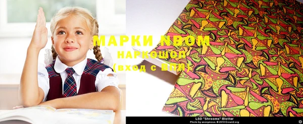 spice Богородск