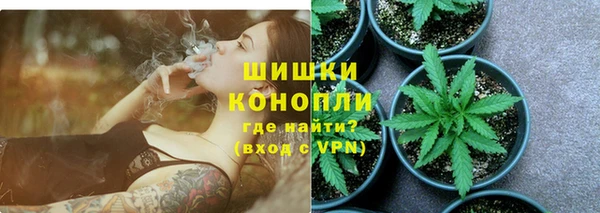 PSILOCYBIN Богданович