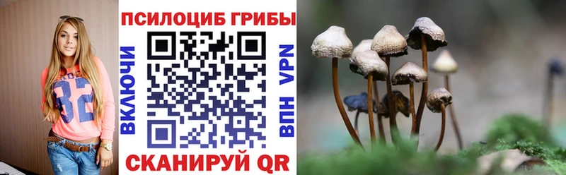 ссылка на мегу как войти  Магас  Псилоцибиновые грибы Psilocybe 